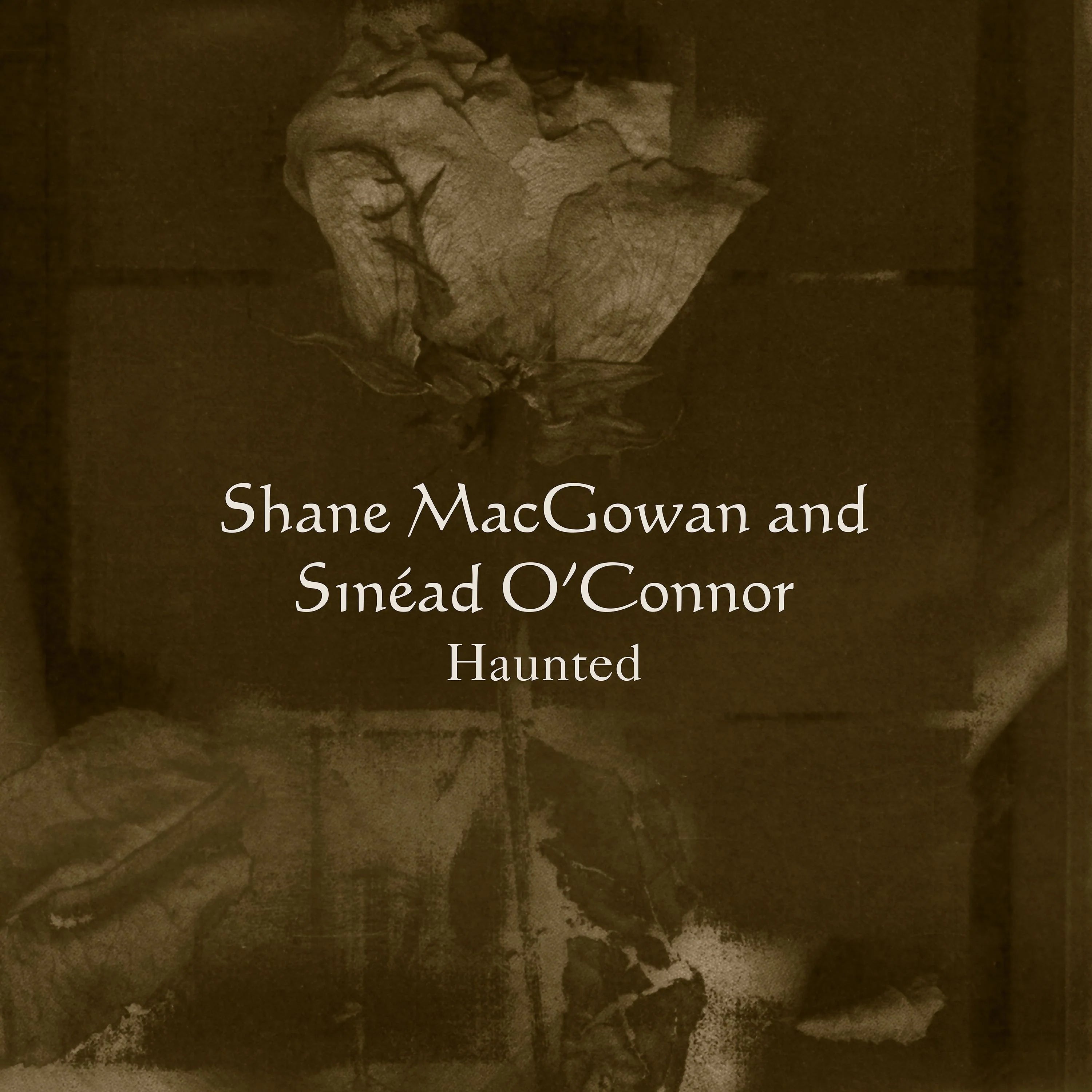 Sinead O'Connor & Shane MacGowan | Haunted (30th anniversary)