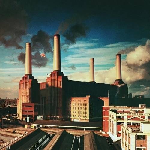 Pink Floyd | Animals - Vinyle