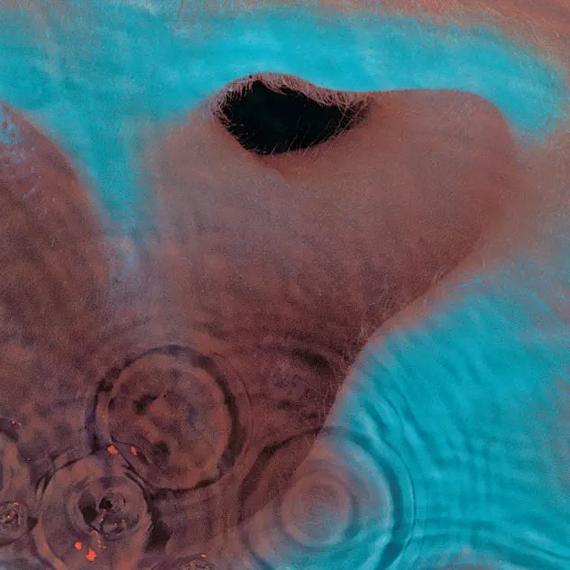 Pink Floyd | Meddle - Vinyle Orange Marbled