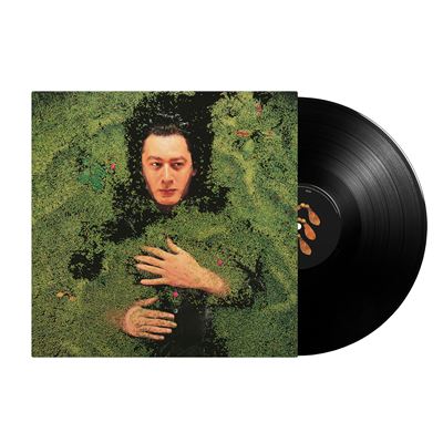 Alain Bashung | Fantaisie Militaire - vinyle