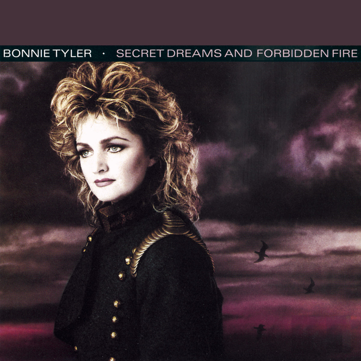 Bonnie Tyler | Secret Dreams and Forbidden Fire - Vinyle