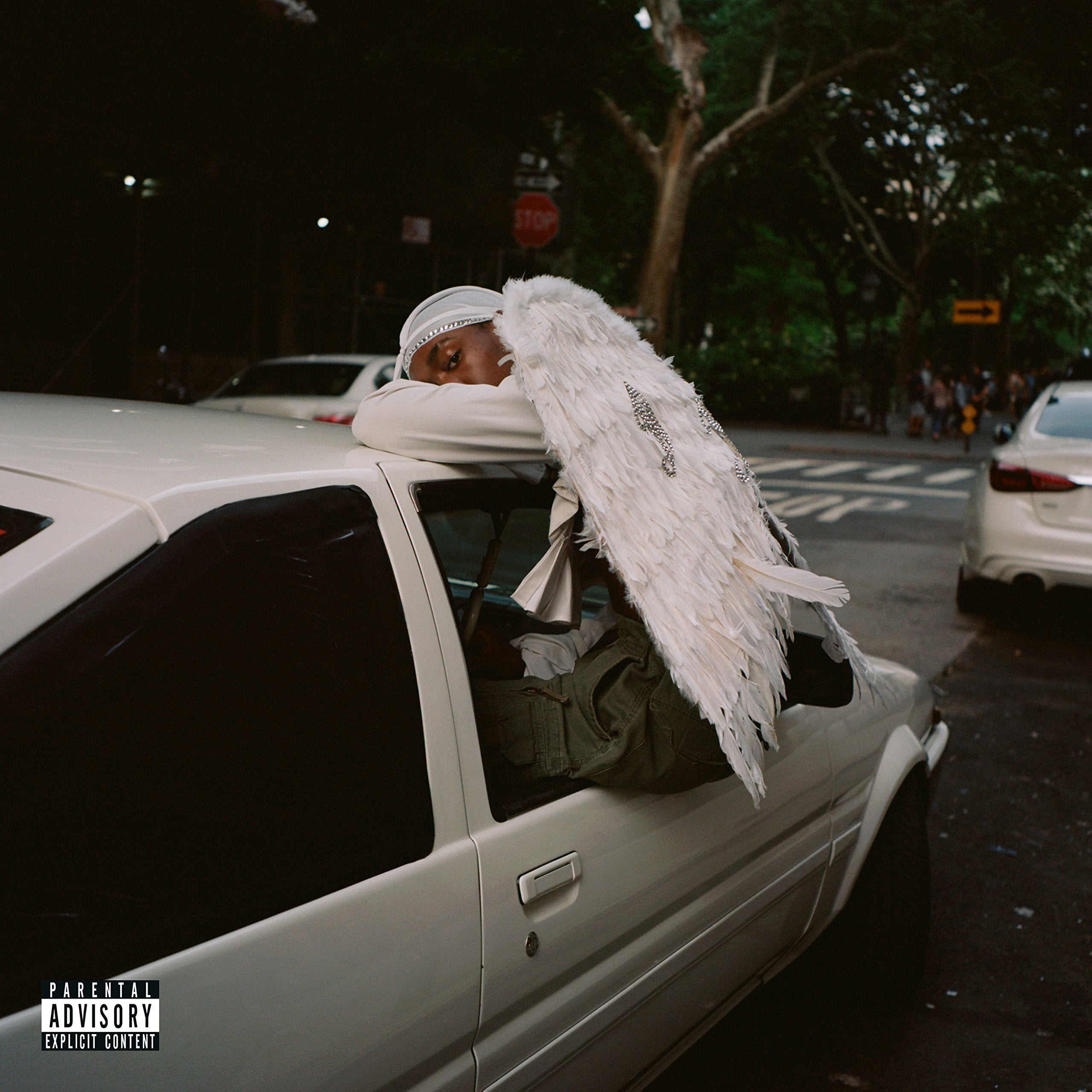Blood Orange | Negro Swan
