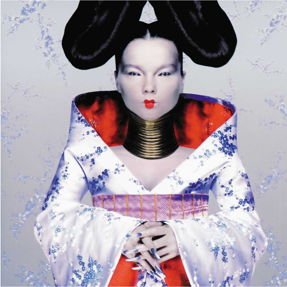 Bjork | Homogenic