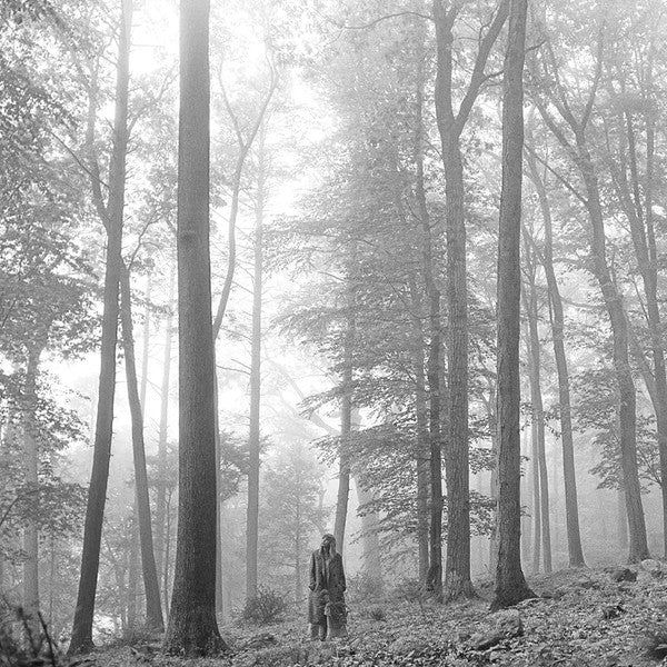 Taylor Swift | Folklore - In The Trees (Chine)