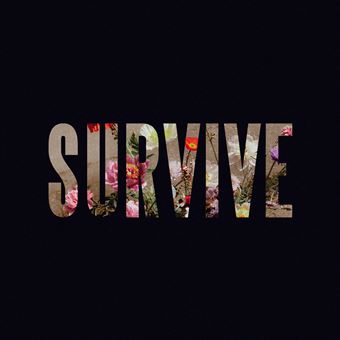 Lewis Capaldi | Survive