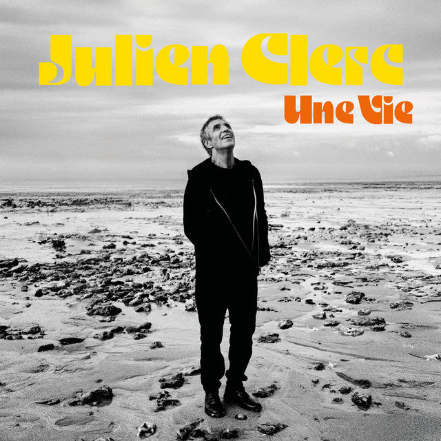 Julien Clerc | Une Vie - Vinyle