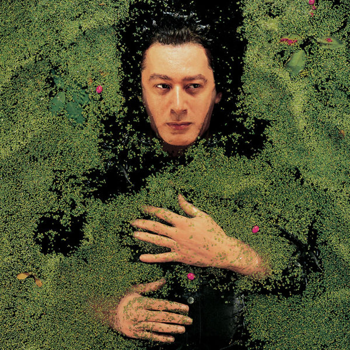 Alain Bashung | Fantaisie Militaire - vinyle